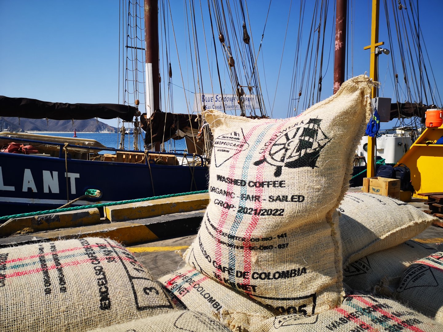 SPRINGTIDE (Dunkler Segelkaffee)